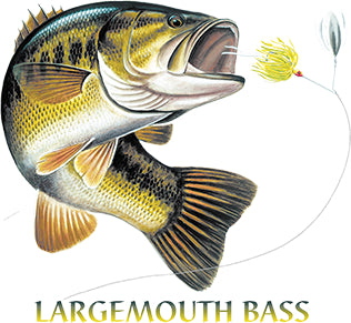 Largemouth Bass Printed T-Shirt-Black