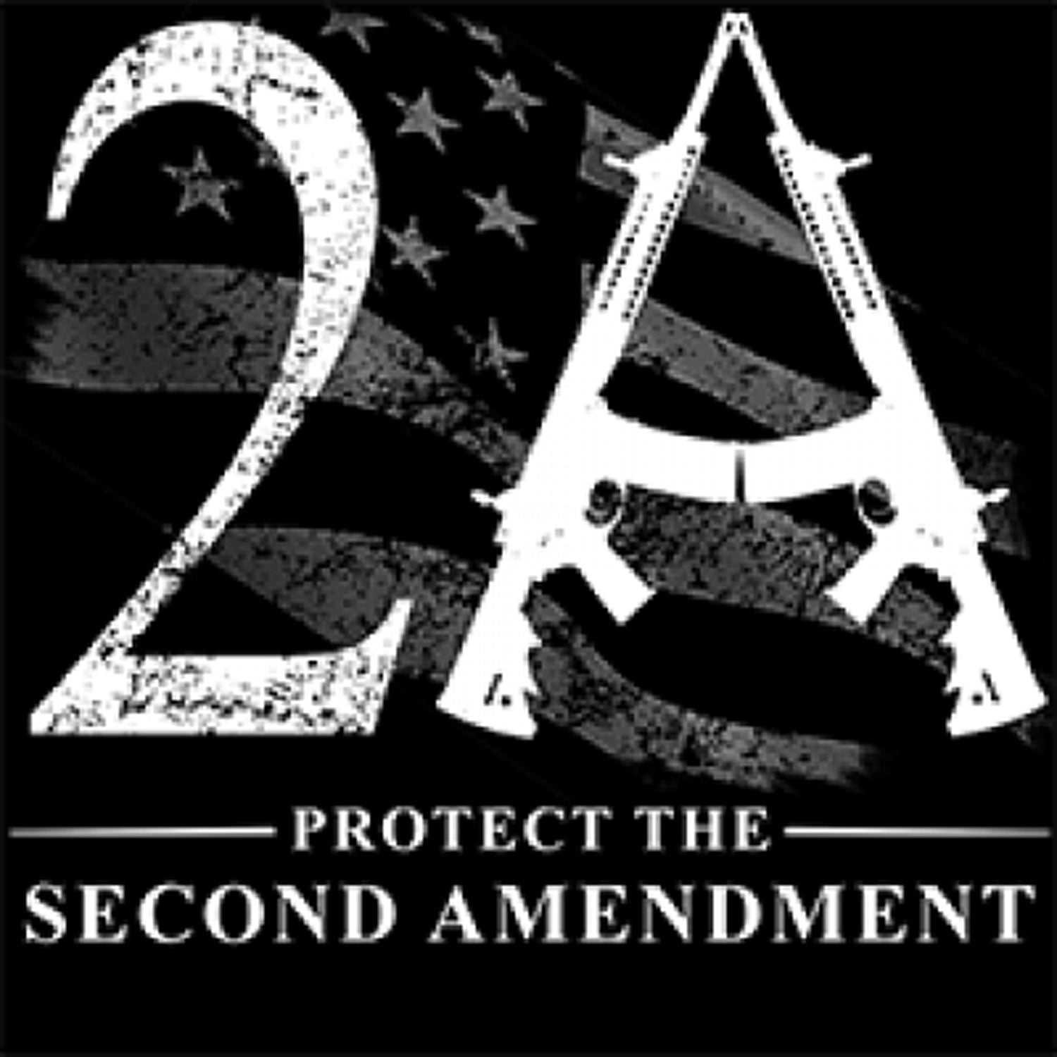 Protect The Second Amendment-White Printed T-Shirt-Black