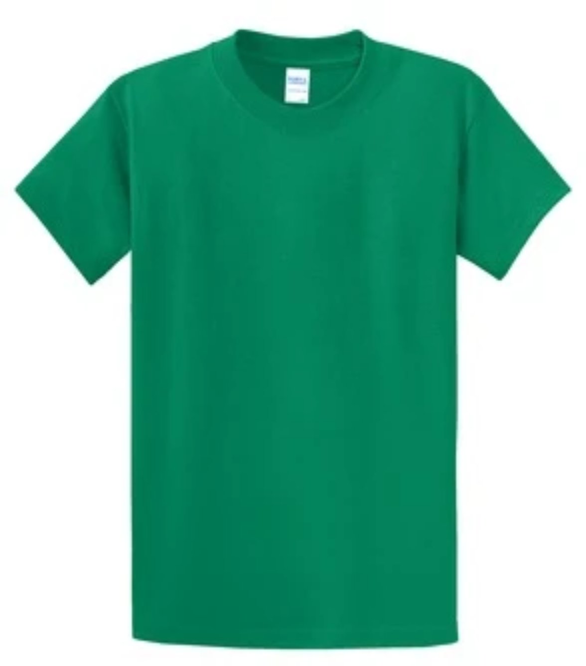 Port & Company 100% Cotton Essential T-Shirt Kelly Green PC61