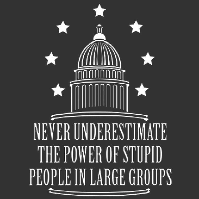 Never Underestimate The Power Of Stupid People  Printed T-Shirt Tall