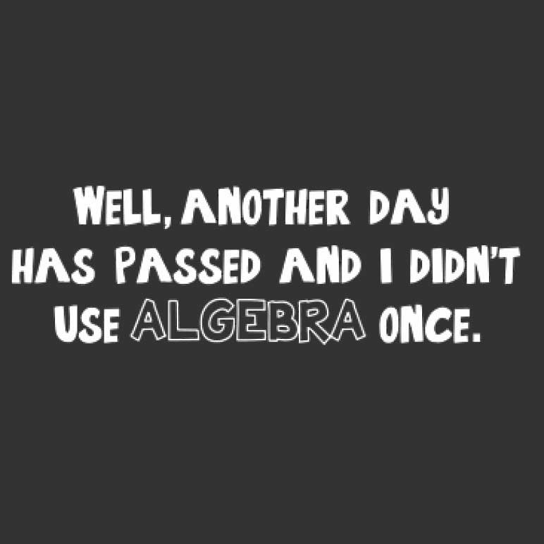 Another Day Passed And Didn't Use Algebra Printed T-Shirt-Royal