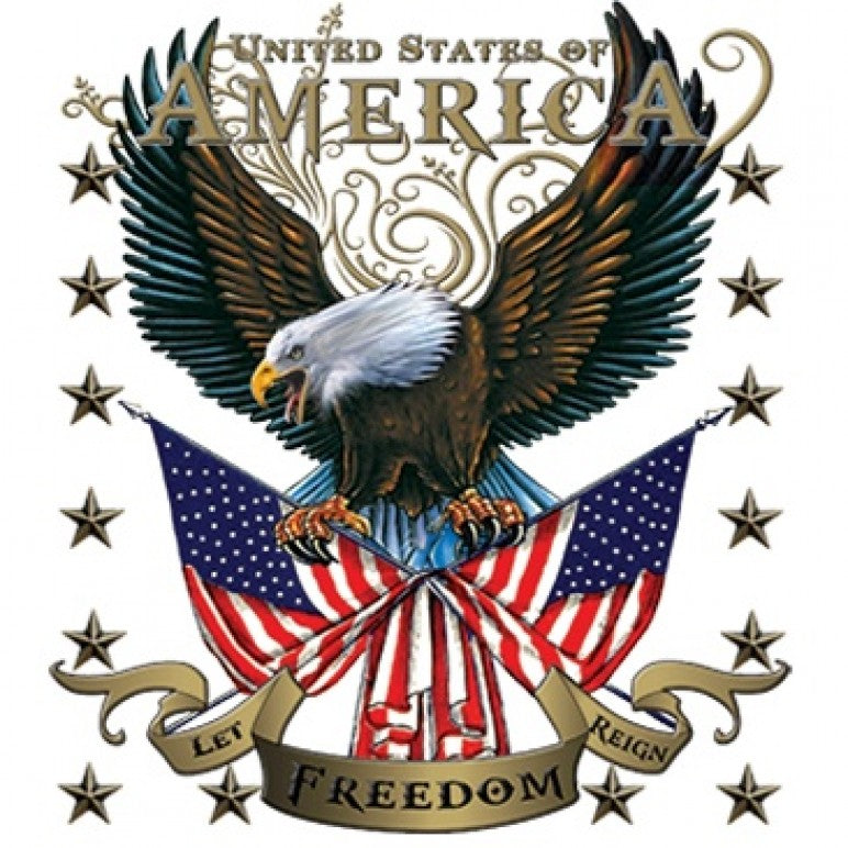 American Eagle Let Freedom Reign Printed T-Shirt Tall