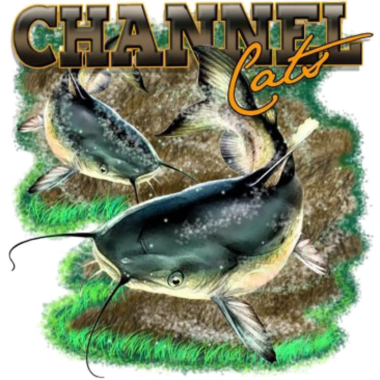 Channel Cats Printed T-Shirt