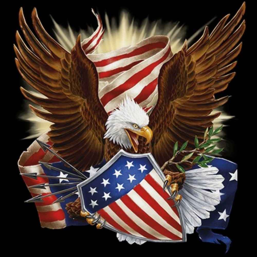 Patriotic Eagle Printed T-Shirt-White