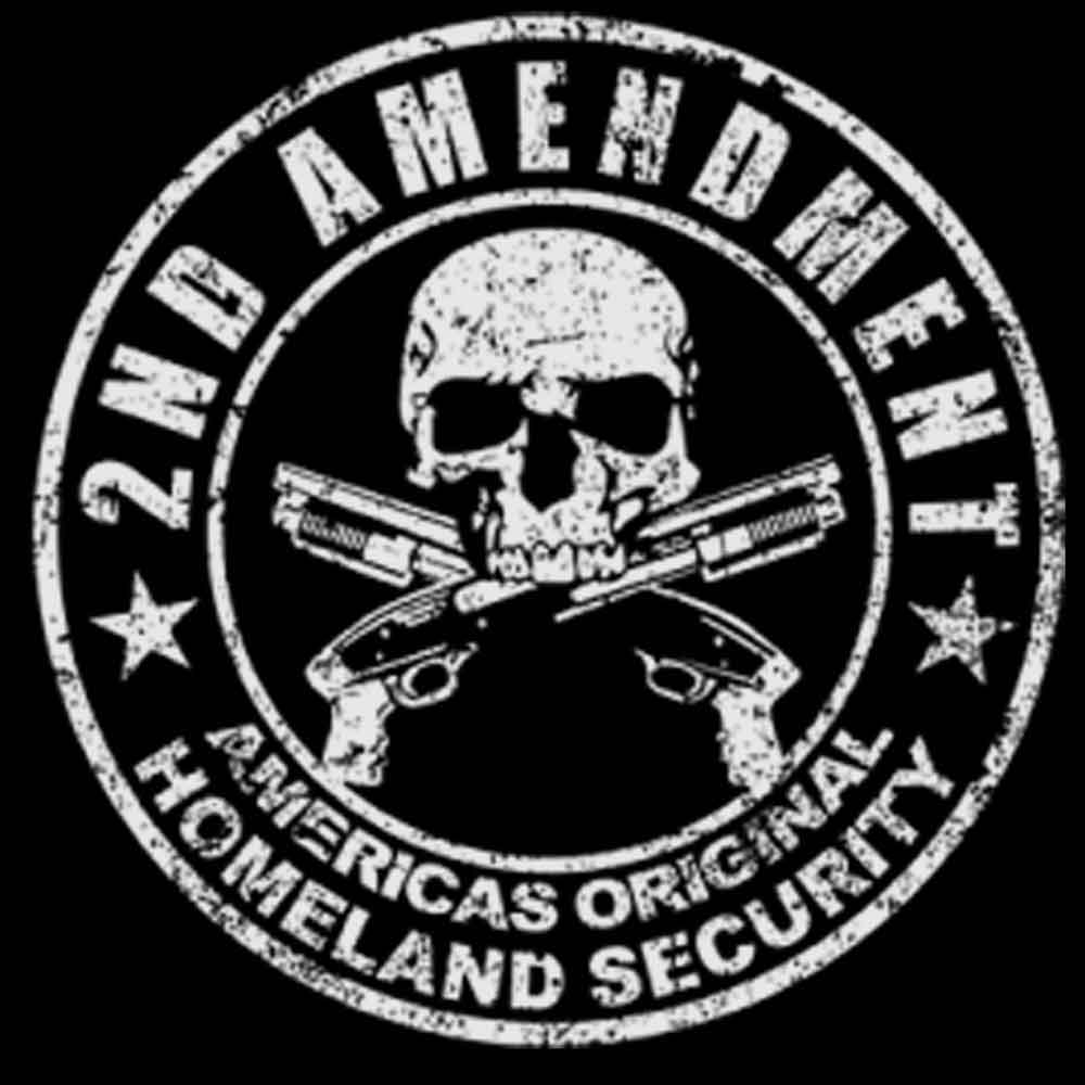 Second Amendment Original Homeland Printed T-Shirt-Black